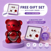 Teddy Bear Gift Box with a free gift