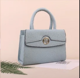 Elegant Women's Handbag