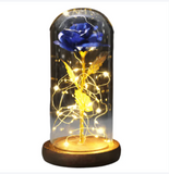 Rose Gift With Led Lights